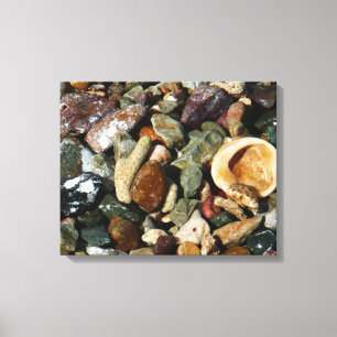 Toile Coquilles, rochers et corail Photographie de la na