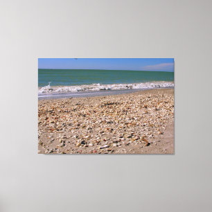 Toile Coquilles sur la plage - Sanibel Captiva