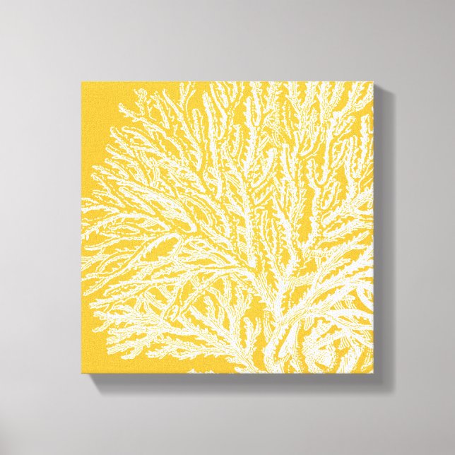 Toile Corail jaune et blanc (Recto)