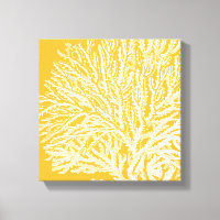 Corail jaune et blanc