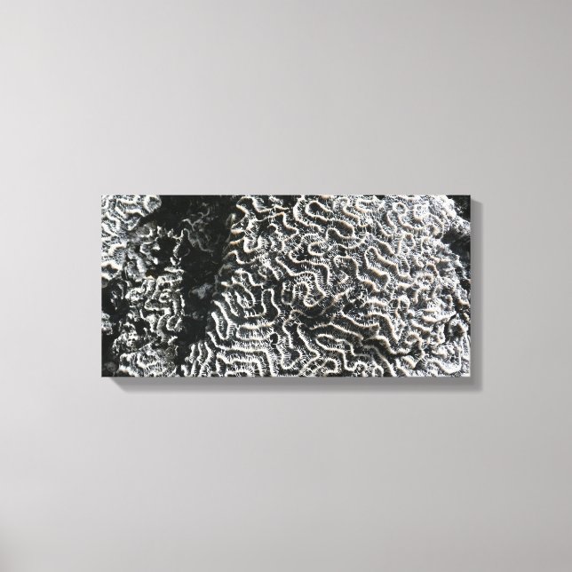 Toile Corail noir et blanc I Abstrait Nature Photo (Recto)