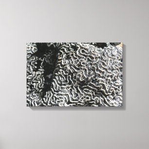 Toile Corail noir et blanc I Photo de nature abstraite