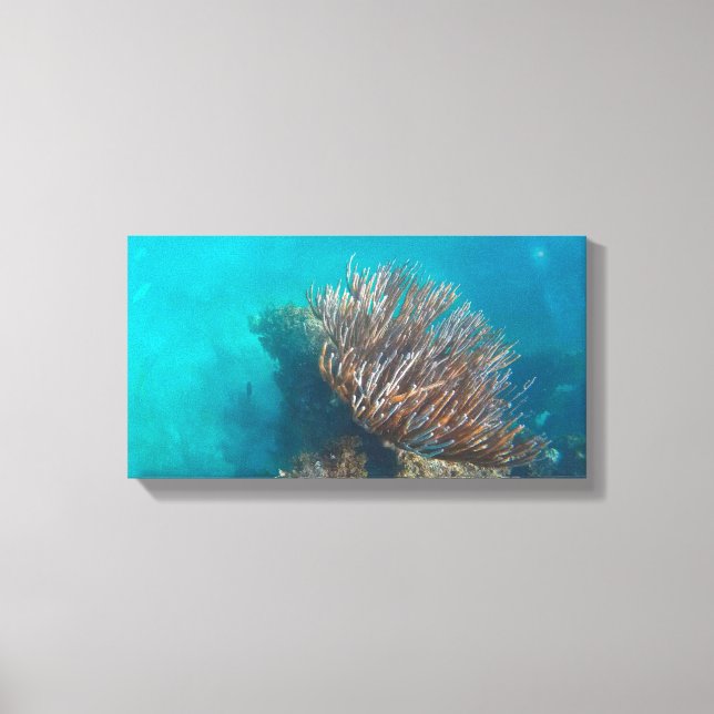 Toile CORAIL SUR CANVAS 20 "x 16" (Recto)