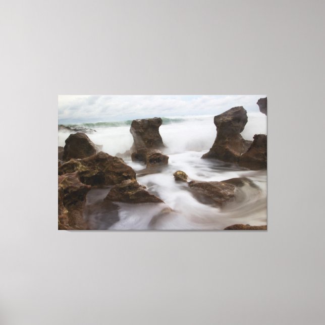 Toile Coral Cove Park plage et vagues (Recto)