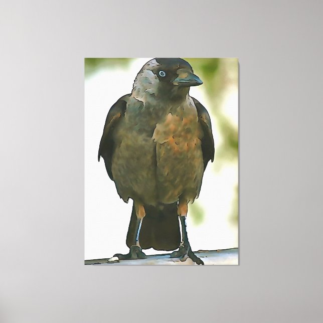 Toile Corbeau à capuchon noir perché sur un art balustra (Recto)