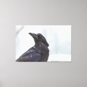 Toile Corbeau en neige