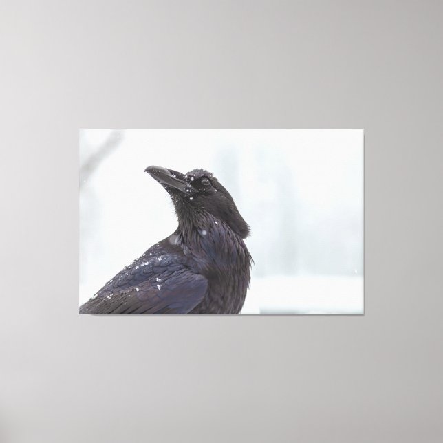 Toile Corbeau en neige (Recto)