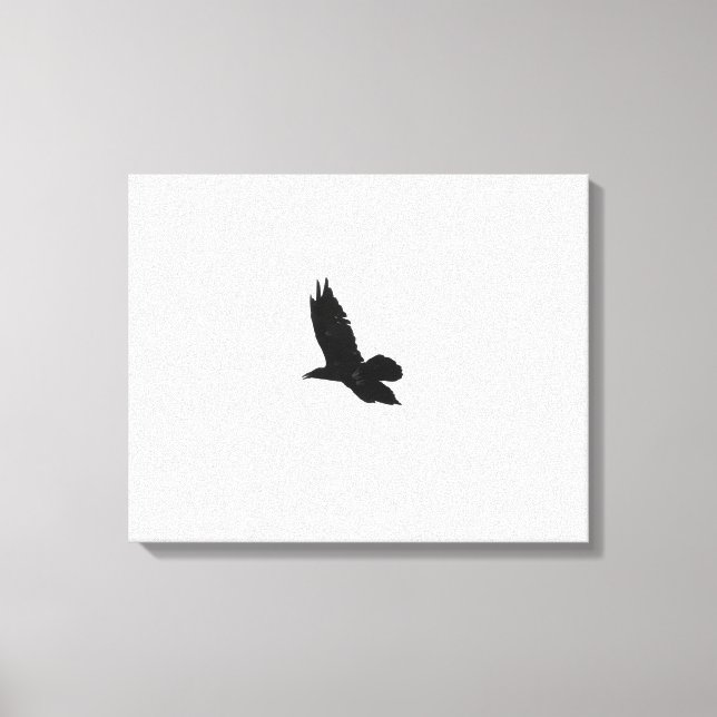 Toile Corbeau noir et blanc 16x20 (Recto)