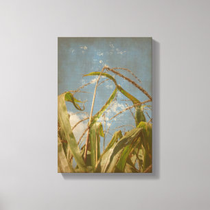 Toile Corn