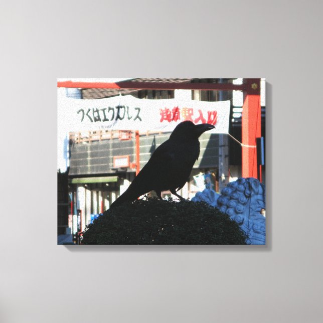 Toile Corneille japonaise (Recto)