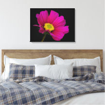 Cosmos Flower Canvas Print
