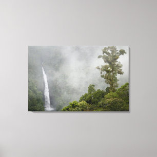 Toile Costa Rica, forêt nuageuse dans les montagnes près