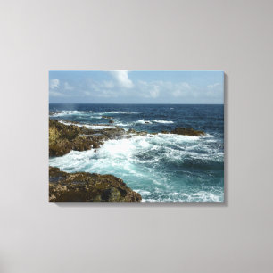 Toile Côte rocheuse d'Aruba et océan bleu