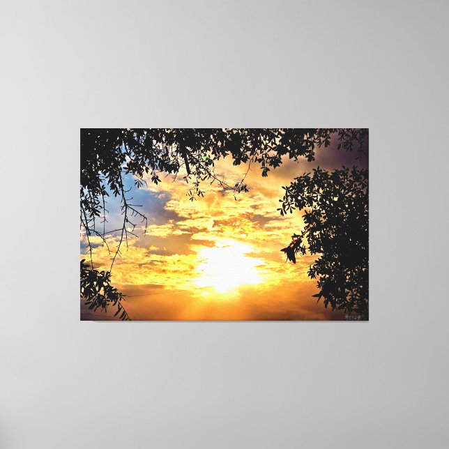 Toile Coucher de soleil à travers des feuilles en silhou (Recto)