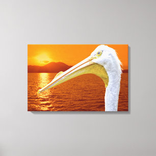 Toile Coucher de soleil américain de Pélican blanc à Cor