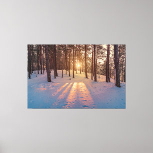Toile Coucher de soleil dans la pinède d'hiver