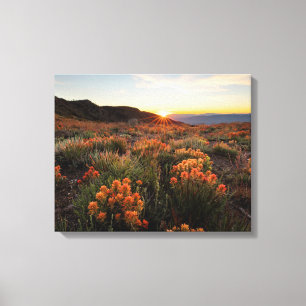 Toile Coucher de soleil dans les montagnes indiennes de