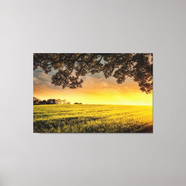 Toile Coucher de soleil dans un paysage rural (Recto)