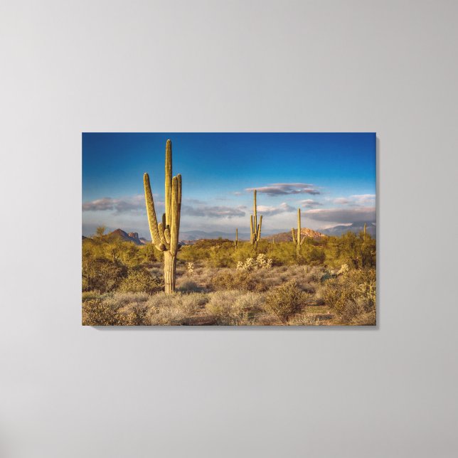 Toile Coucher de soleil de Cactus en Arizona (Recto)