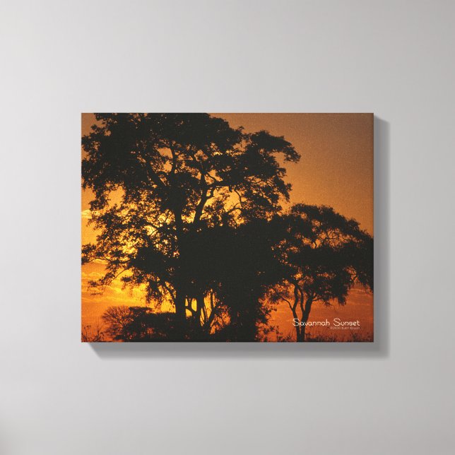 Toile Coucher de soleil de Savannah (Recto)