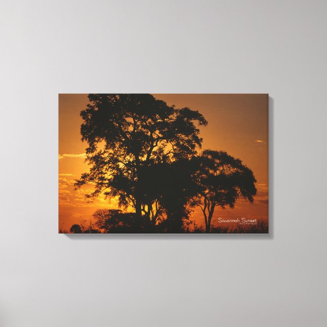 Toile Coucher de soleil de Savannah (Recto)