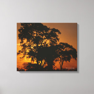 Toile Coucher de soleil de Savannah