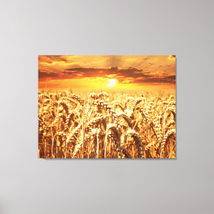 Toile Coucher de soleil et champ de blé