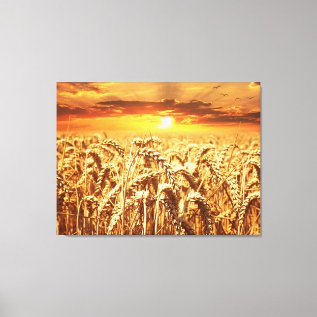 Toile Coucher de soleil et champ de blé (Recto)