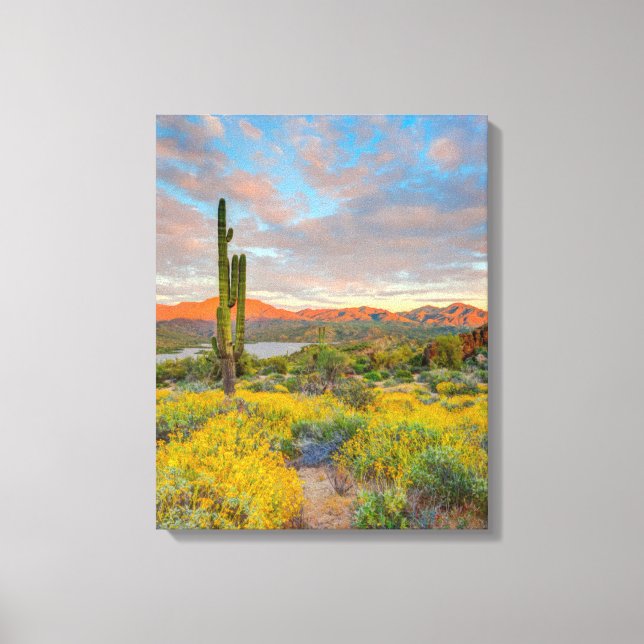 Toile Coucher de soleil sur paysage désertique (Recto)