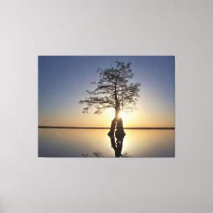 Toile Coucher du soleil derrière un arbre
