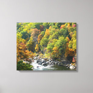 Toile Couleur d'automne dans le parc d'état d'Ohiopyle