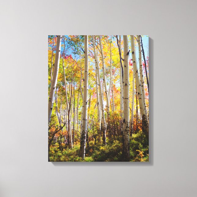 Toile Couleurs d'automne des arbres d'Aspen 5 (Recto)