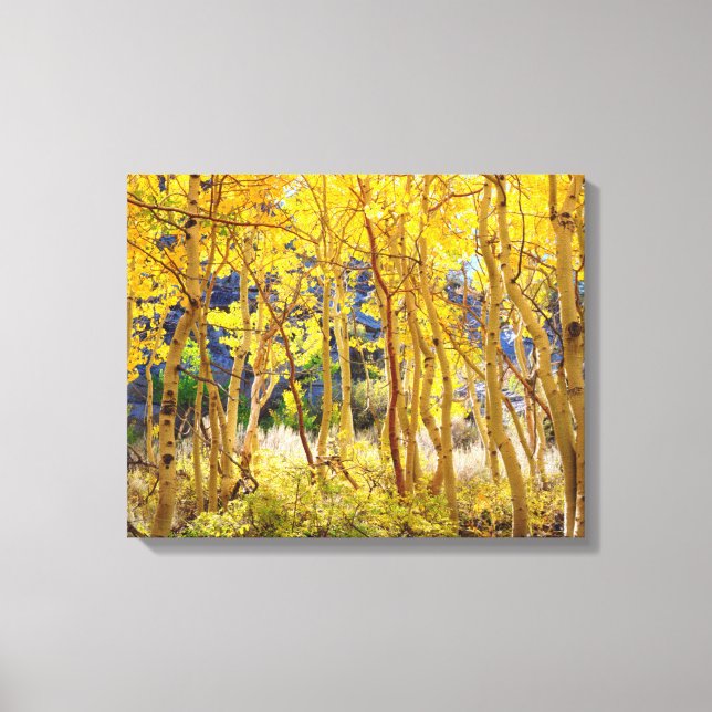 Toile Couleurs d'automne des arbres Trembles 3 (Recto)
