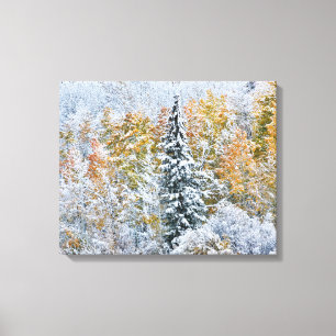 Toile Couleurs d'automne des trembles et neige Keebler P