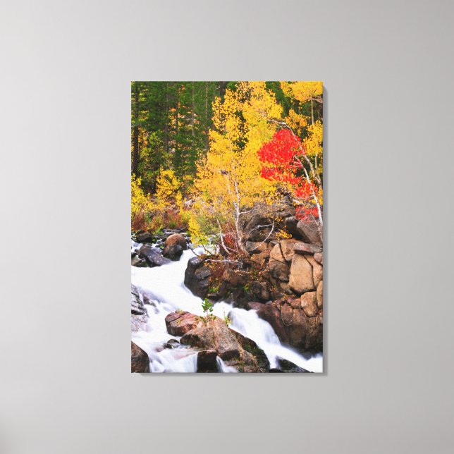 Toile Couleurs d'automne le long de Bishop Creek, CA (Recto)