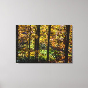 Toile Couleurs du paysage d'automne