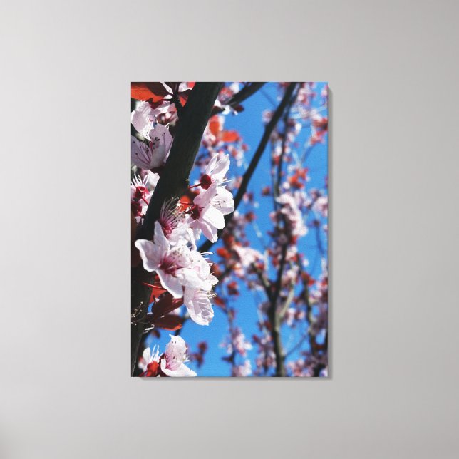 Toile Couleurs du printemps (Recto)