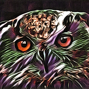 TOILE COUPER OWL