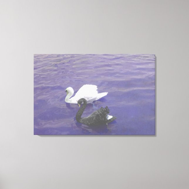 Toile Couple de cygne sur un lac (Recto)