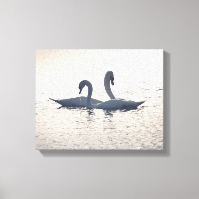 Toile Courage Swans Nature Photo (Recto)
