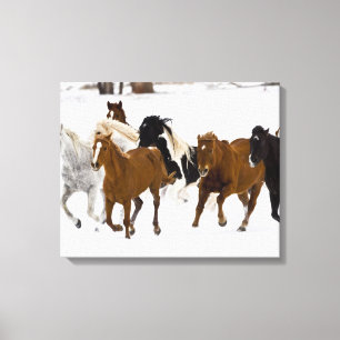 Toile Courir des chevaux sur le ranch Hideout