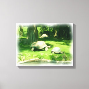 Toile Course de tortues