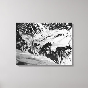 Toile Course de traîneau vintage eskimo Malamute d'Alask