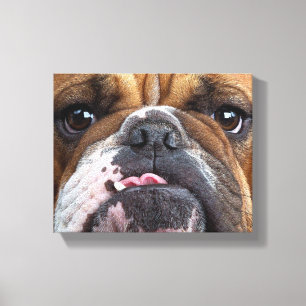 Toile Coussin de jet de Bouledogue Anglais