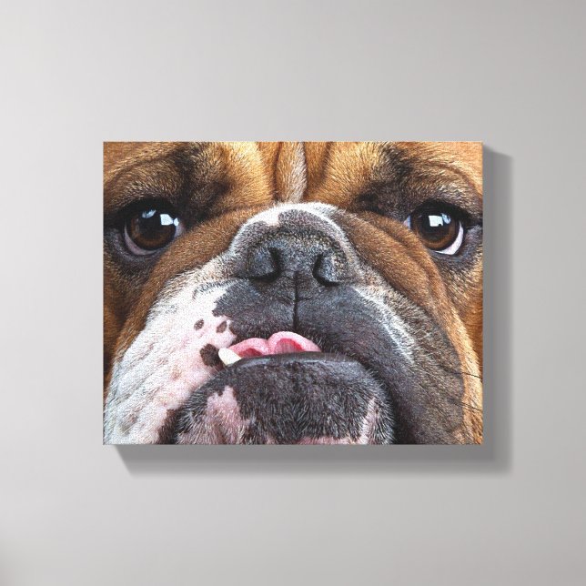 Toile Coussin de jet de Bouledogue Anglais (Recto)