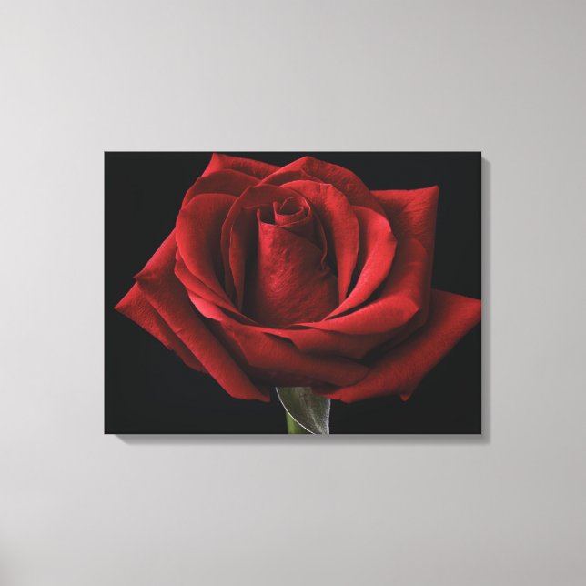 Toile Coussin de jet rouge rose (Recto)