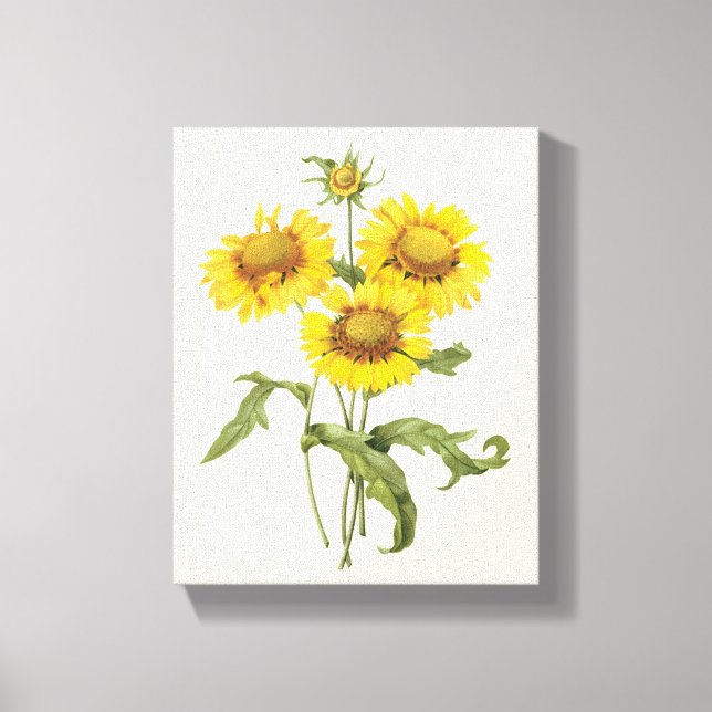 Toile Couverture Fleur de Blanket Fleur de Tournesol par (Recto)