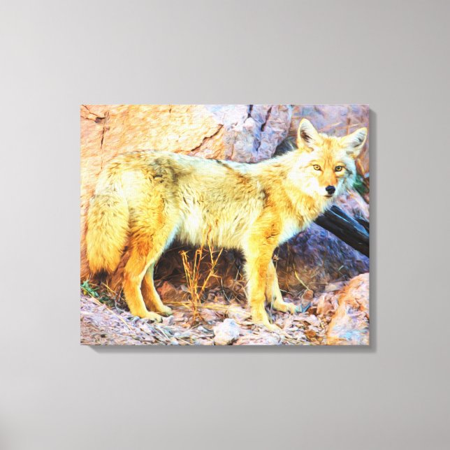Toile Coyote de Yellowstone (Recto)