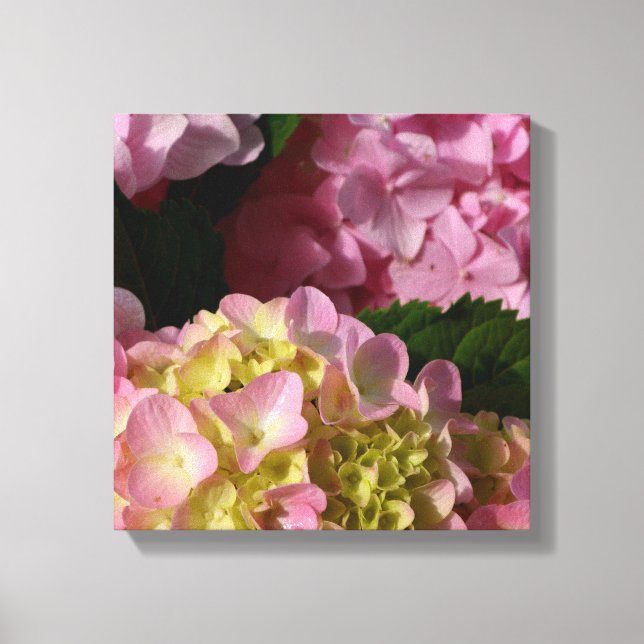 Toile Crème rose Hydrangeas jaune rose vert floral (Recto)
