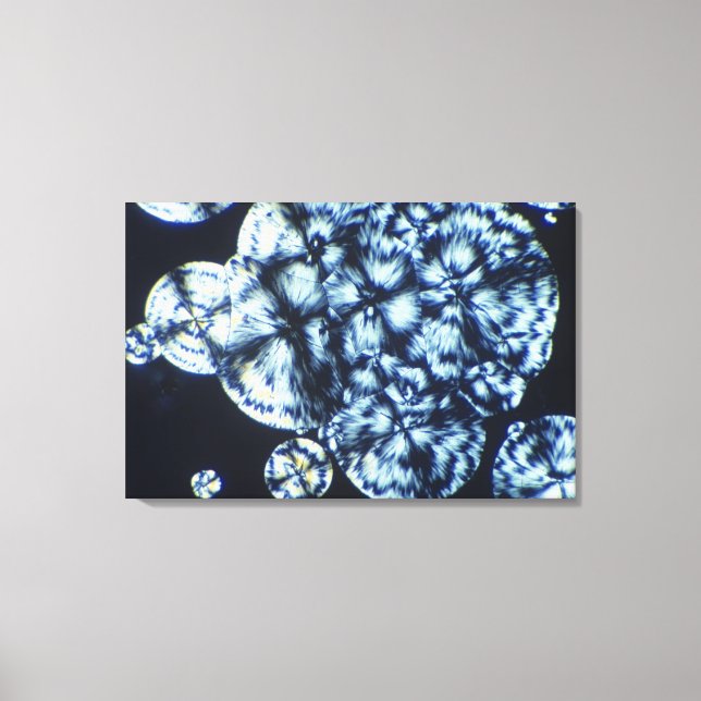 Toile Cristaux de cholestérol vus dans la lumière polari (Recto)